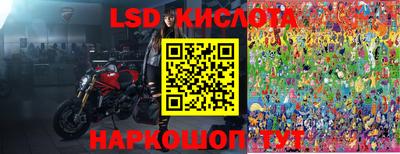 spice Камышлов