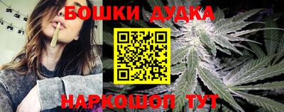 spice Камышлов