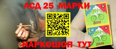 spice Камышлов