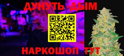 гашик Кингисепп
