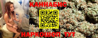 spice Камышлов