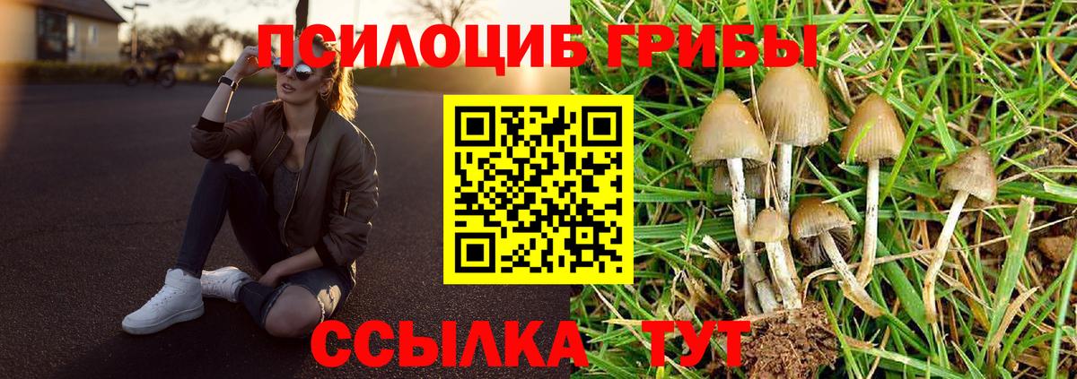 Галлюциногенные грибы Cubensis Кудрово