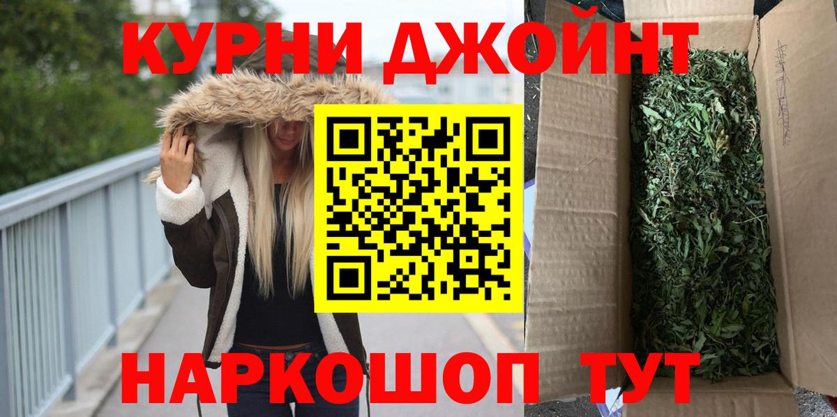 Кудрово  Конопля OG Kush  Вход с VPN  Конопля сатива  Канабис сатива 